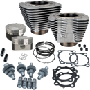 S&S CYCLE Hooligan Kit - 1200 cc to 1250 cc - Silver Powdercoat - Sportster 910-0702