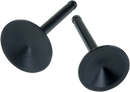 S&S CYCLE Exhaust Valve - 1.72" - Big Twin '66-'84 90-2022