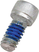 S&S CYCLE Replacement Air Cleaner Screw - Backplate - 1/4"-20 x 1/2" 106-2084