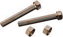 COLONY Bolts - Rear/Axle Adjuster - Pair - '86-'92 Softail 8934-2