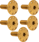 ARLEN NESS Bolt Kit - Holeshot/Front/Floating/Brake Rotor - Spoke Mount - Gold - 5 Pack 300-908