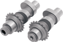ANDREWS Camsaft Set - 09H (TW9) - Chain Drive - Twin Cam 216309