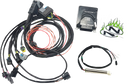 NAMZ Complete Stand-Alone EFI Engine Management System - M8 N-EFI-02