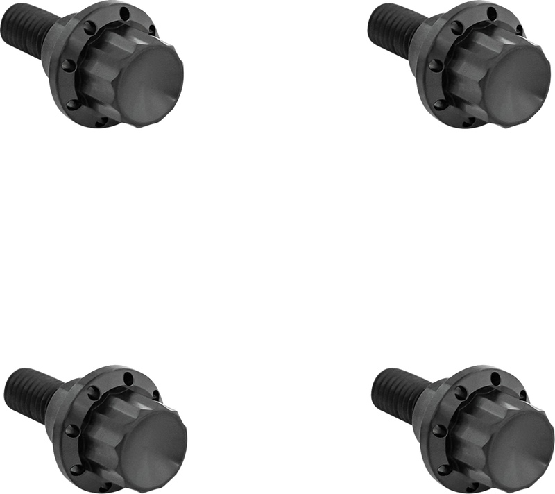 ARLEN NESS Bolt Kit - Windshield - 12-Point - Titanium - Black 300-810