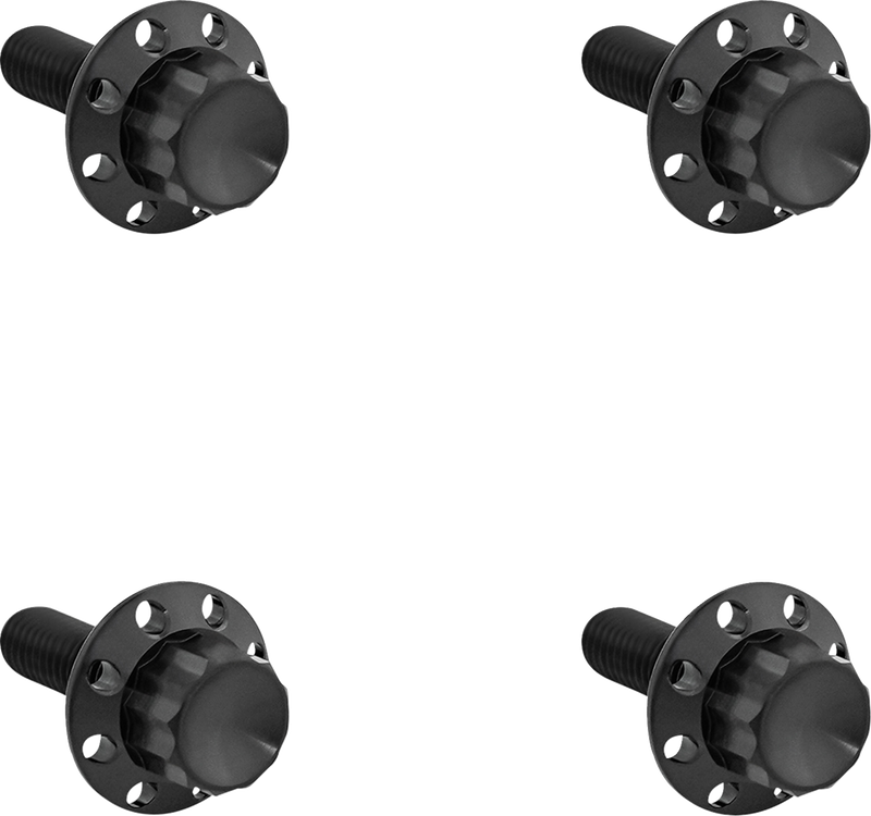 ARLEN NESS Bolt Kit - Windshield - Titanium - 12-Point - Black 300-816
