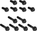 ARLEN NESS Bolt Kit - Rocker Box - 12-Point - Titanium - Black 300-993