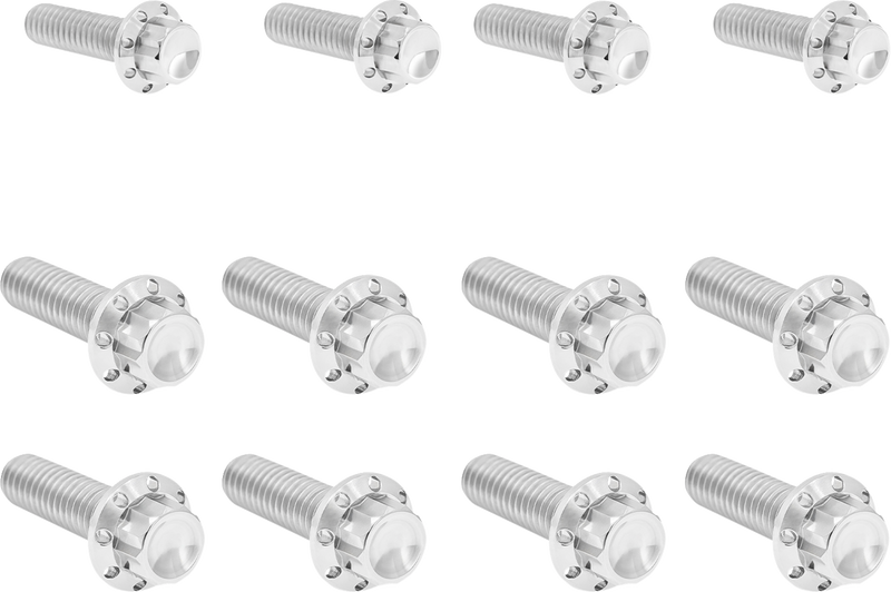 ARLEN NESS Bolt Kit - Transmission Side Cover/Trap Door - 12-Point - Titanium - Polished 300-953