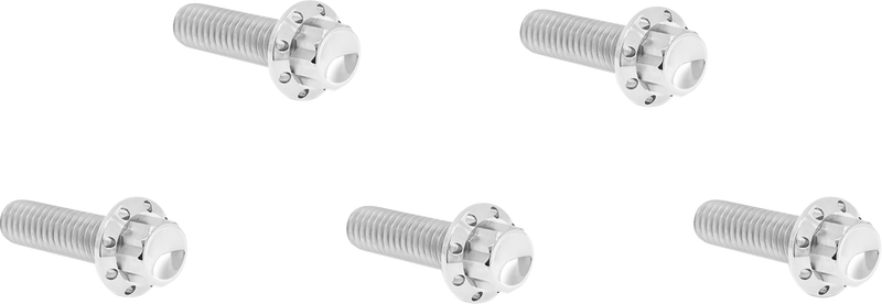 ARLEN NESS Bolt Kit - Derby Cover - 12-Point - Titanium - Polished 300-923