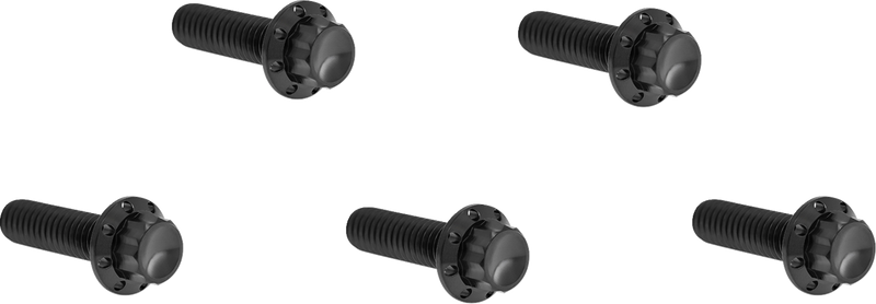 ARLEN NESS Bolt Kit - Derby Cover - 12-Point - Titanium - Black 300-924