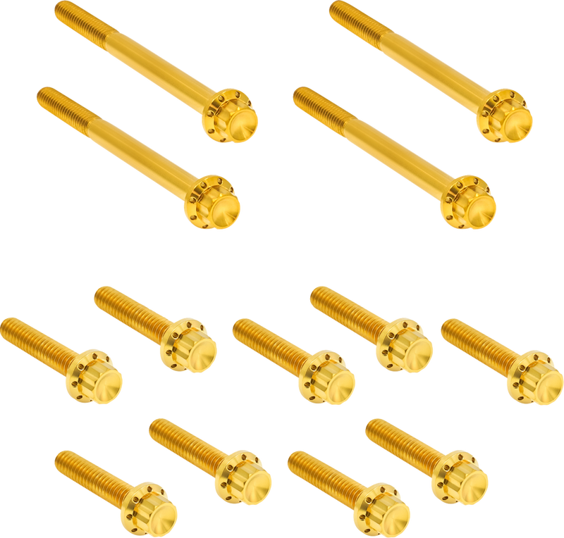 ARLEN NESS Bolt Kit - Primary Cover - Titanium - 12-Point - Softail - Gold 300-931