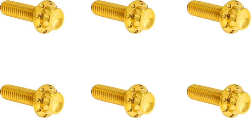 ARLEN NESS Bolt Kit - Transmission Top Cover - 12-Point - Titanium - Gold 300-949