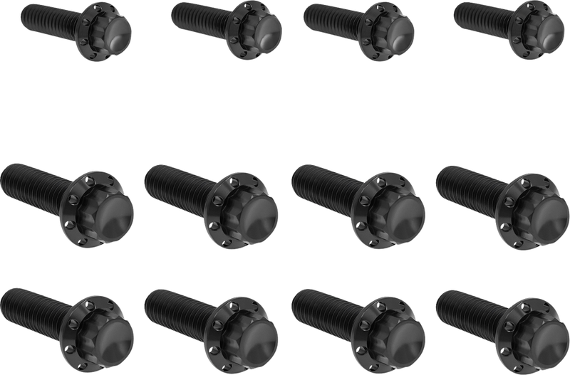 ARLEN NESS Bolt Kit - Transmission Side Cover/Trap Door - 12-Point - Titanium - Black 300-954