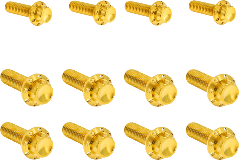 ARLEN NESS Bolt Kit - Transmission Side Cover/Trap Door - 12-Point - Titanium - Gold 300-955