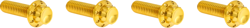 ARLEN NESS Bolt Kit - Transmission Top Cover - 12-Point - Titanium - Gold 300-979