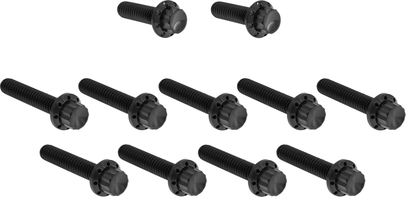 ARLEN NESS Bolt Kit - Cam Cover/Point Cover - Titanium - 12-Point - Black 300-981