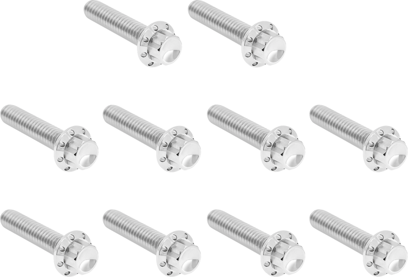ARLEN NESS Bolt Kit - Cam Cover/Point Cover - Titanium - 12-Point - Polished 300-986