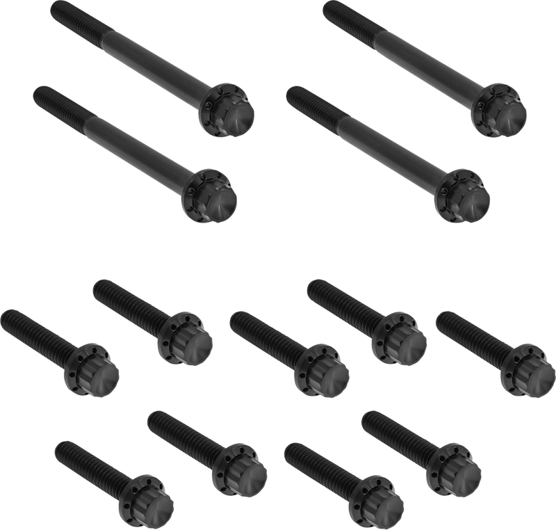 ARLEN NESS Bolt Kit - Primary Cover - Titanium - 12-Point - Softail - Black 300-930