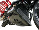 THRASHIN SUPPLY CO. Skid Plate - Carbon Fiber/Gloss - With Red Brackets - FLHX/FLTRX TSC-3034-2