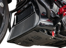 THRASHIN SUPPLY CO. Skid Plate - Carbon Fiber/Forged - With Red Brackets - FLHX/FLTRX TSC-3035-2