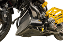 THRASHIN SUPPLY CO. Skid Plate - Carbon Fiber/Gloss - With Gold Brackets - FLHX/FLTRX TSC-3034-5