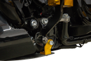 THRASHIN SUPPLY CO. Skid Plate - Carbon Fiber/Forged - With Gold Brackets - FLHX/FLTRX TSC-3035-5