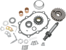 DRAG SPECIALTIES Kickstarter Rebuild Kit - '36-'86 Big Twin 26-0201C-B