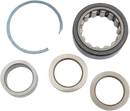 EASTERN MOTORCYCLE PARTS Bearing Kit with Washers and Race - Big Twin A-24004-03