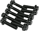 FEULING PARTS Fastener Kit - Cam Plate/Oil Pump - HP+/Race Series/OE+ - Twin Cam 8020