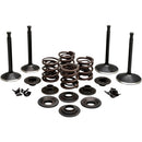 Kibblewhite Black Diamond Engine Kit - 1957-1969 XL