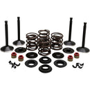 Kibblewhite Black Diamond Engine Kit - 1966-1977 Shovelhead (74”)